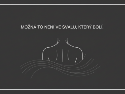 Ilustrace zad a svalových řetězců – strukturální masáž Ostrava
