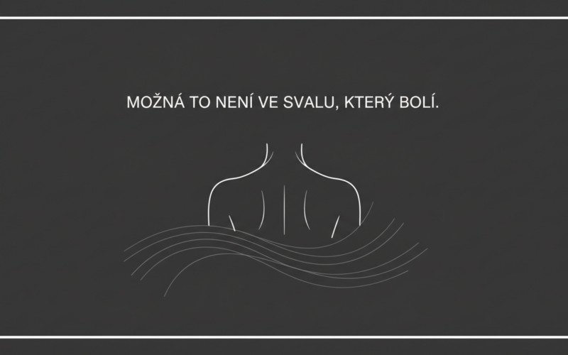Ilustrace zad a svalových řetězců – strukturální masáž Ostrava
